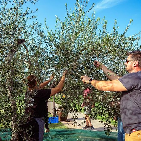Agriturismo Biologico Diacceroni Villamagna  Εξωτερικό φωτογραφία