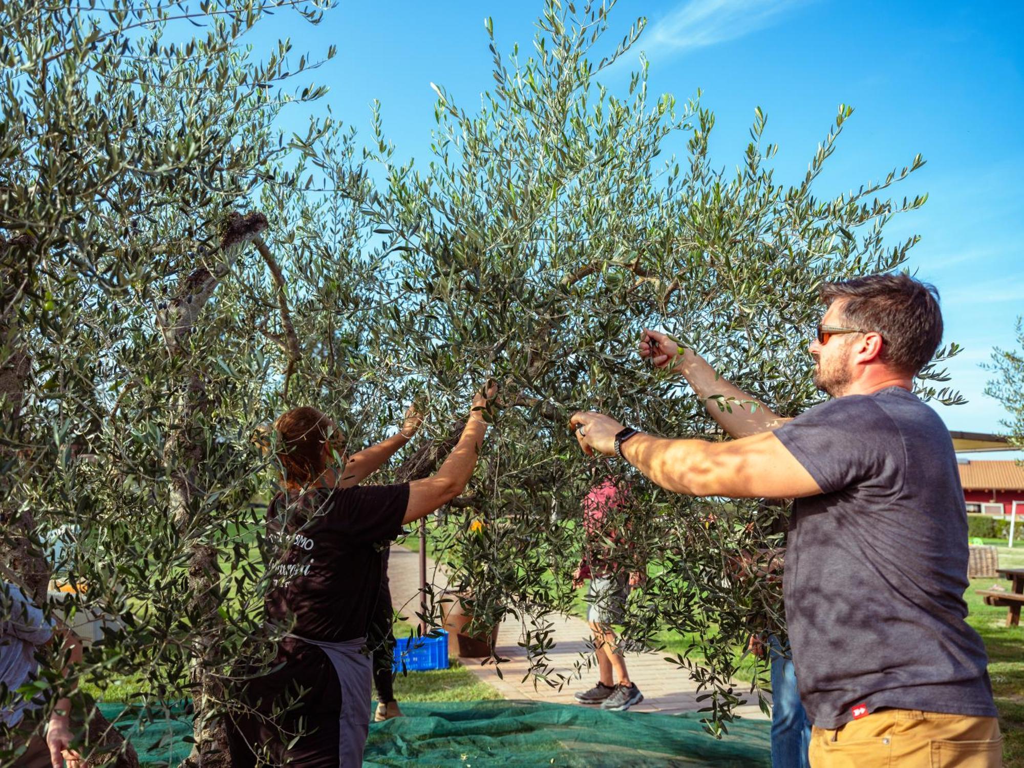 Agriturismo Biologico Diacceroni Villamagna  Εξωτερικό φωτογραφία