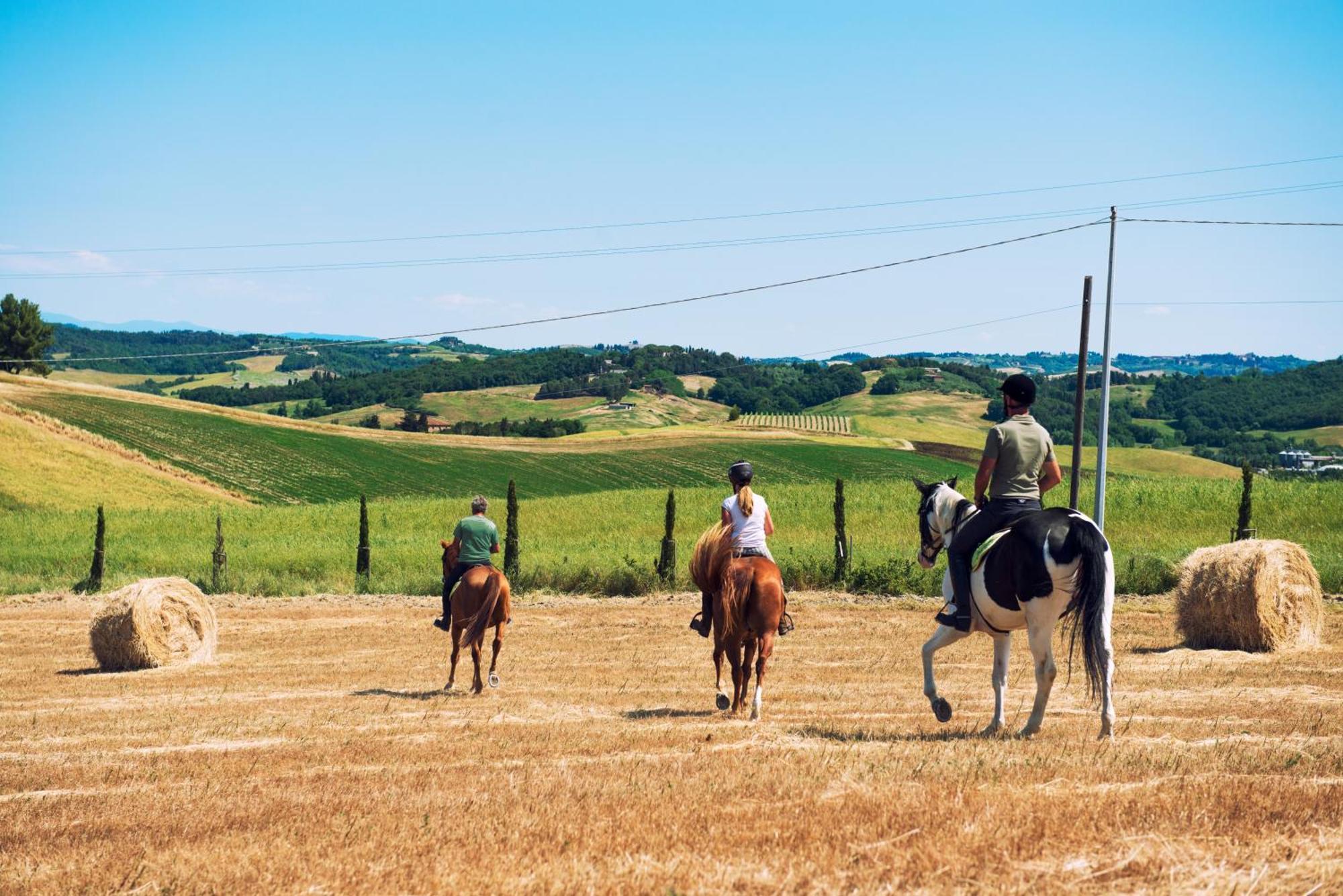 Agriturismo Biologico Diacceroni Villamagna  Εξωτερικό φωτογραφία
